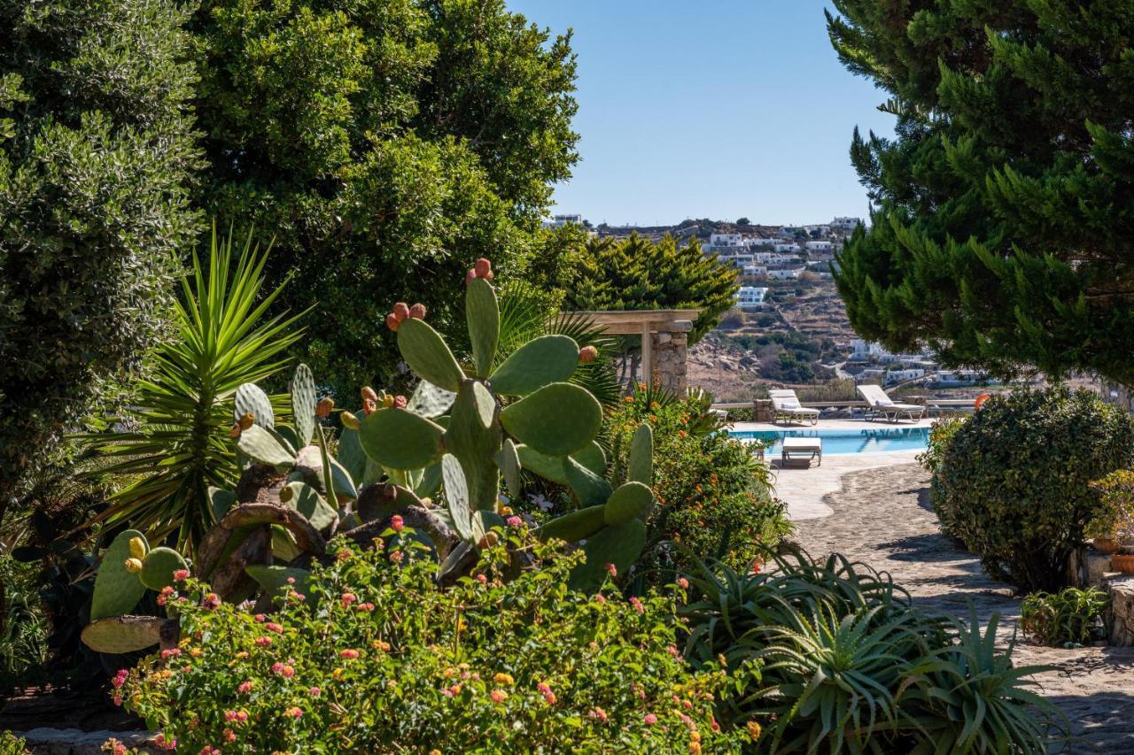 Yalos Mykonos Ornos Pouli Private Apartments W Shared Swimming Pool Mykonos Town Exterior photo